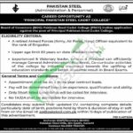 Pakistan Steel Cadet College Jobs