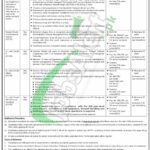 Civil Aviation Jobs