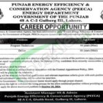 PEECA Jobs