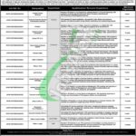 CBD Punjab Jobs