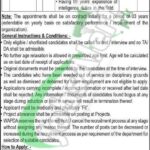 WAPDA Jobs