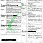 Punjab Industrial Estate Development and Management Company Jobs