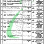 Fisheries Department Punjab Jobs