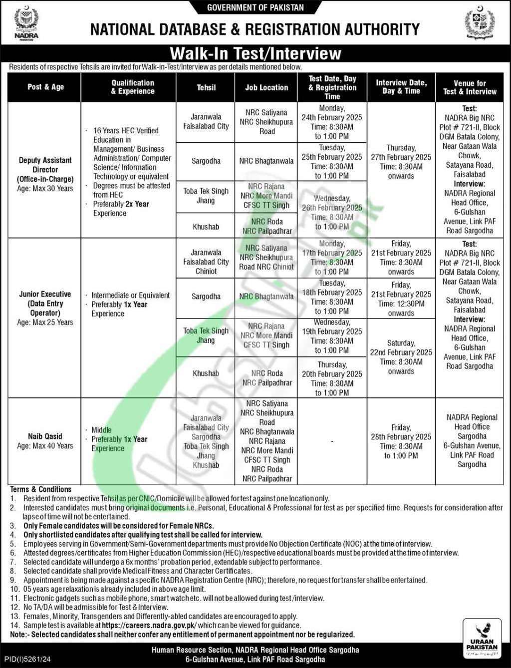 NADRA Junior Executive Jobs