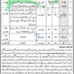 Session Court Kohat Jobs