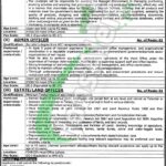 Punjab Daanish Schools and Centers of Excellence Authority Jobs