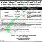 Cadet College Choa Saiden Shah Jobs