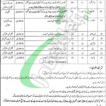 Social Welfare and Bait-ul-maal Punjab jobs