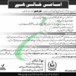 PPIB Jobs