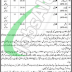 Session Court karachi Jobs