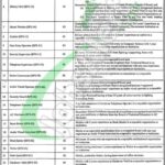 UHS Lahore Jobs