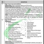 PIFD Lahore Jobs