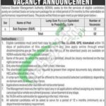 NDMA Jobs