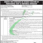 Energy Department Sindh Jobs