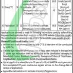 WAPDA Jobs