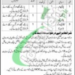 CMH Pano Aqil Jobs