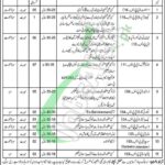 Peshawar High Court Jobs
