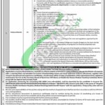 Medical Teaching Institution Bannu Jobs