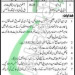 Sindh Service Tribunal Jobs