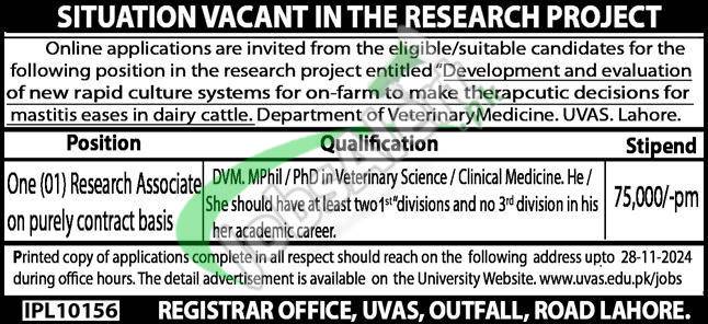 UVAS Lahore Jobs