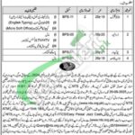 Punjab Labour Court Jobs