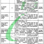 Lahore Waste Management Company Jobs