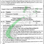 Board of Revenue Punjab Jobs