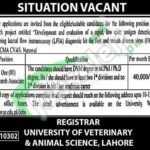 UVAS Jobs