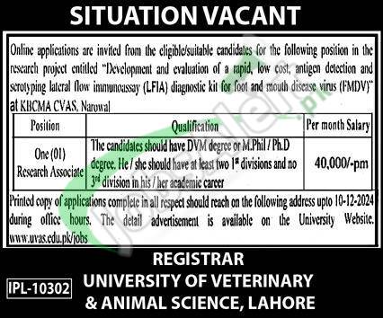 UVAS Jobs