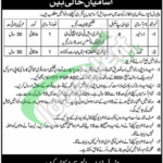 POL Depot Okara Jobs