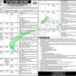 Punjab Human Organ Transplantation Authority Jobs
