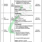 Punjab Cattle Market Management & Development Company Jobs