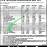 PITB Jobs