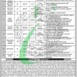 Population Welfare Department KPK Jobs