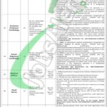 Sheikh Zayed Hospital Rahim Yar Khan Jobs
