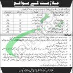 CMH Okara Jobs 2026 For BPS-04 to BPS-01 Advertisement Latest CMH Okara Jobs