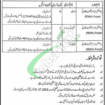 PDMA Jobs