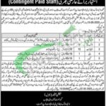 Livestock Department Punjab Jobs
