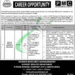 Punjab Mineral Company Lahore Jobs
