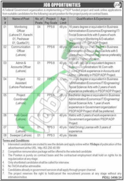 SMEDA Jobs