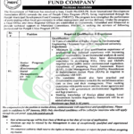 PMDFC Punjab Jobs