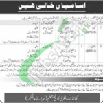 Military College Jhelum Jobs