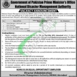 NDMA Jobs