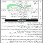 Session Court Malakand Jobs