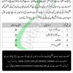 MUET Jamshoro Jobs