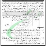 Supply Depot Okara Jobs