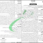 Finance Department Sindh Jobs