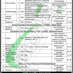 TUSDEC Jobs