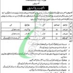 Punjab Social Protection Authority Jobs