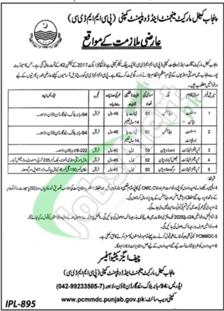 Punjab Cattle Market Management & Development Company Jobs